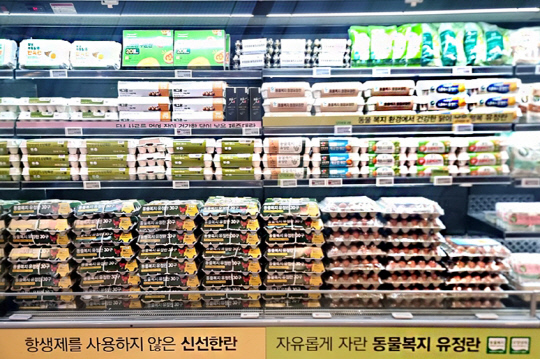 킴스클럽 야탑점 내 계란 매대에 제품이 진열돼 있다. 이랜드킴스클럽 제공